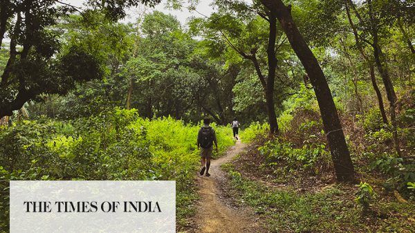 Goa starts ‘Monsoon Trekking’ to boost tourism